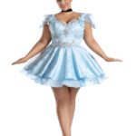 Lost Slipper Princess Plus Size