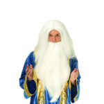 Wizard Wig with Beard