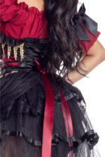 Seven Seas Pirate - Image 4