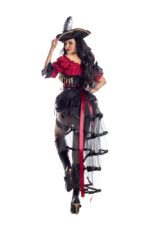 Seven Seas Pirate - Image 2