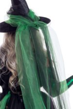 Wicked Emerald Witch Plus Size - Image 5