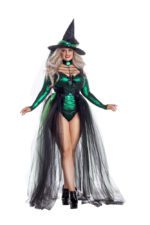 Wicked Emerald Witch Plus Size