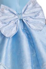 Pumpkin by Midnight Princess Dress - Image 3