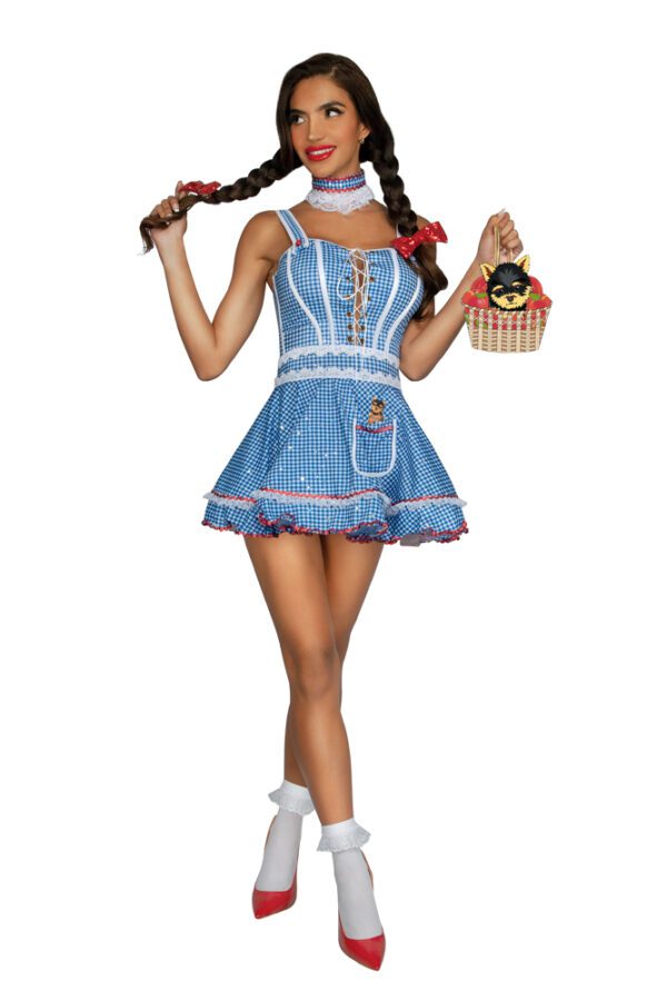 S2416 Kansas Sweetheart Costume