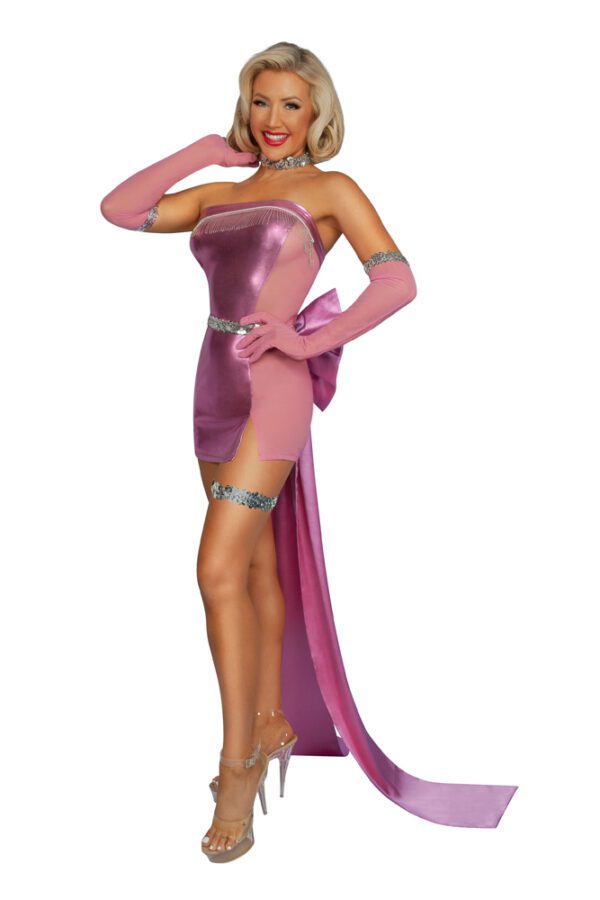 S2431 Diamond Honey Costume