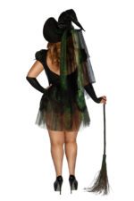 S2447 Witch of the West Plus Size Costume